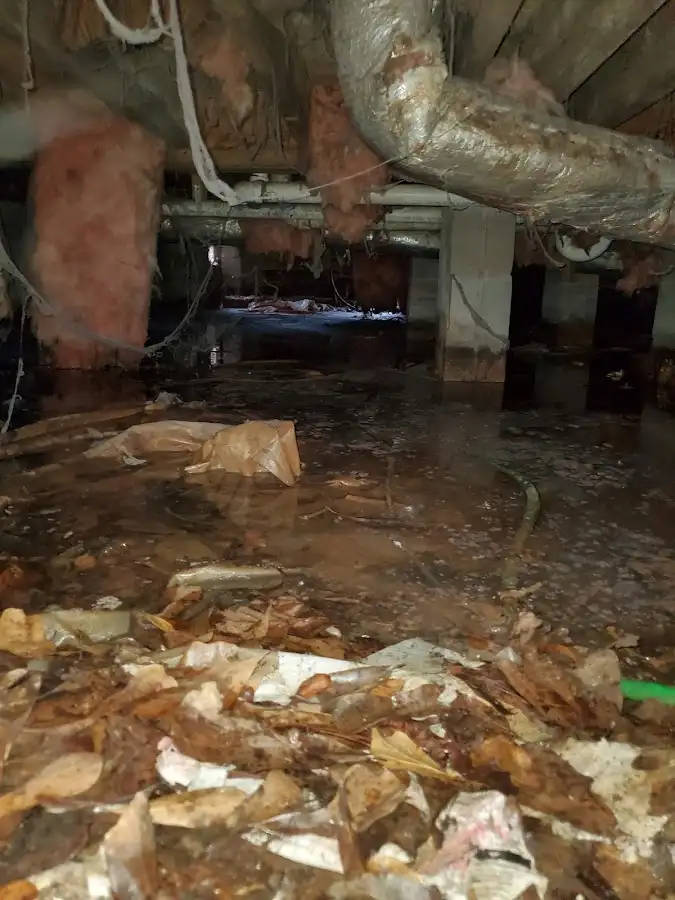 Crawl space flood assessment for Leak Detection & Repair in Five Forks